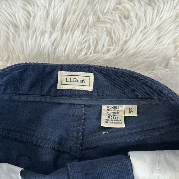 L.L. Bean Navy Blue Corduroy Skirt Size 10 Petite - Picture 4 of 9